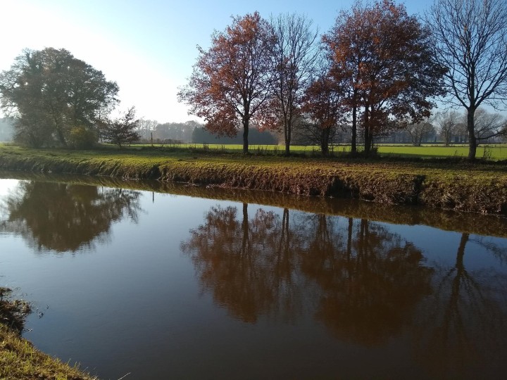 Landschaftsbild mit Fluss im Vordergrund und Bäumen mit herbstlichem Laub im Hintergrund
