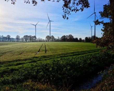 Landschaftsbild mit Feld im Vordergrund und Windrädern im Hintergrund