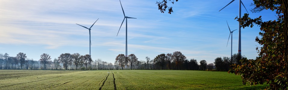 Landschaftsbild mit Feld im Vordergrund und Windrädern im Hintergrund